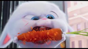 Teaser tráiler 'Mascotas' - Snowball