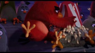 Tráiler 'Angry Birds. La película'