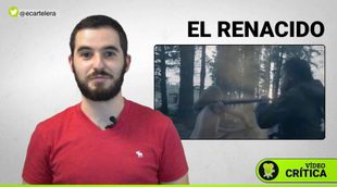 Vídeo crítica de 'El renacido (The revenant)'