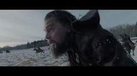 Clip 'El renacido (The Revenant)' #2