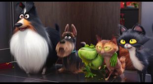 Spot Super Bowl 'Mascotas'