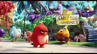 Tráiler español 'Angry Birds, la película'