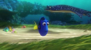 Tráiler español 'Buscando a Dory'