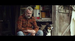 Tráiler 'Hunt for the Wilderpeople'