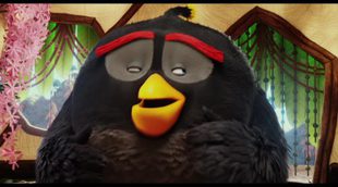 'Angry Birds. La película': Conoce a Bomb