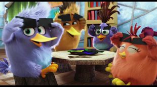 Tráiler español 'Angry Birds, la película' #2