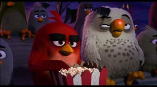 Spot 'Angry Birds. La película' #2